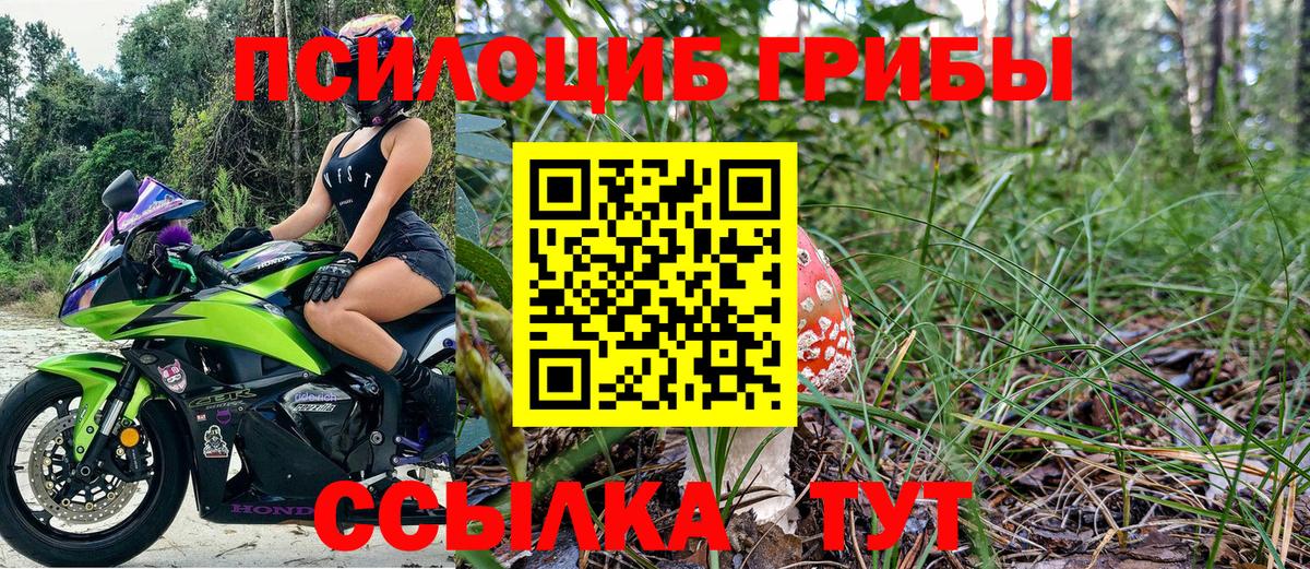 Галлюциногенные грибы GOLDEN TEACHER  Вход с VPN  Батайск 